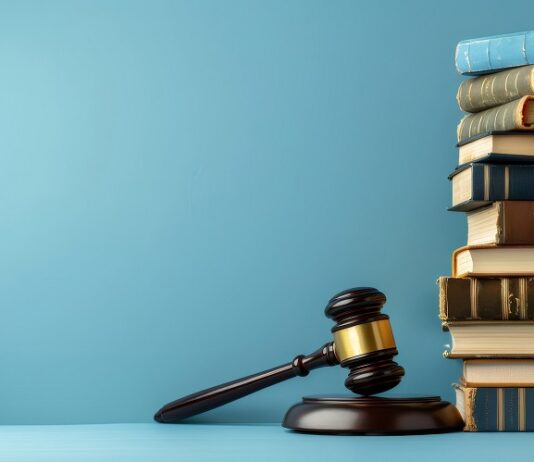 Collecting Money Judgments: Be Willing to Play the Long Game Money Judgments